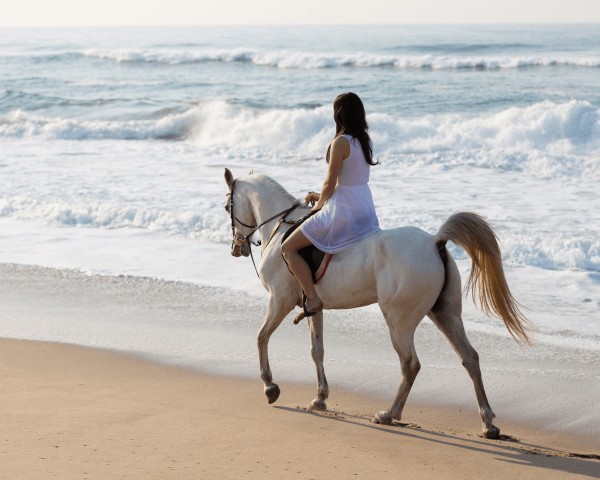 Salalah: Paardrijden aan het strand
