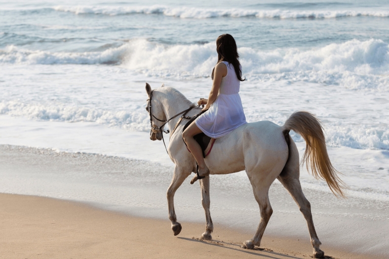 Paardrijden bij het strand