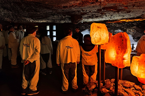 Vienna: Hallstatt Private Tour with Skywalk and Salt Mine