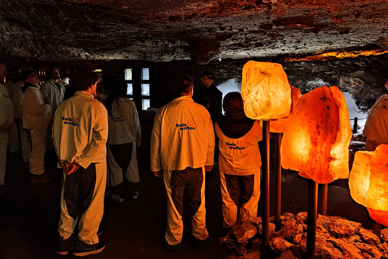 Vienna: Hallstatt Private Tour with Skywalk and Salt Mine