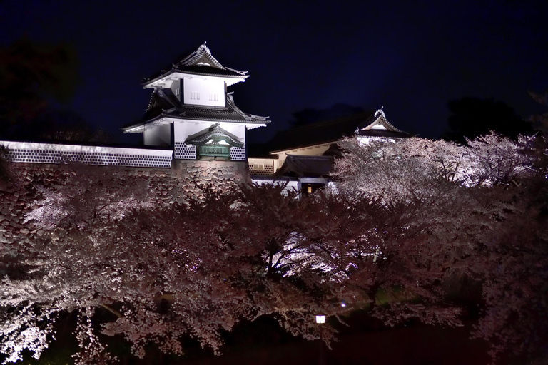 Bespoke Kanazawa Private Night Tour: Local Food & Secrets