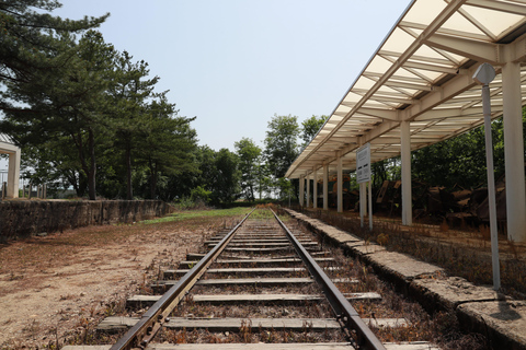 Da Seul: DMZ, il secondo tunnel e il tour del fiume Hantan dell&#039;UNESCOStazione Myeongdong Uscita 10 alle ore 07:00