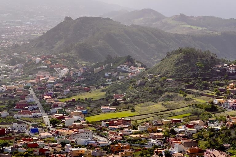 Tenerife: Anaga Hidden Gems Tour with Free Pickup Explore Anaga's hidden gem. Private tour.
