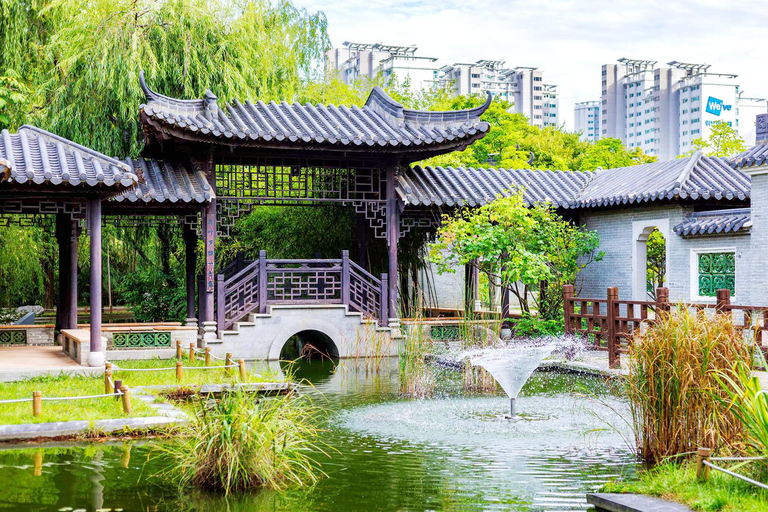 Suwon: Hwaseong, Starfield Library, and Hangnidan-gil Tour