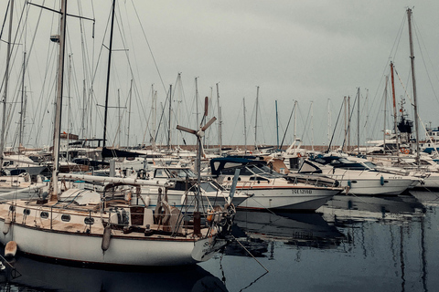 Day Trip to Cap Bon – Full-Day Excursion to Cap Bon