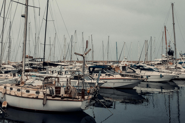 Day Trip to Cap Bon – Full-Day Excursion to Cap Bon