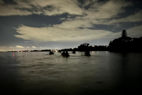 Auckland: Bioluminescence Kayak Tour with Guide