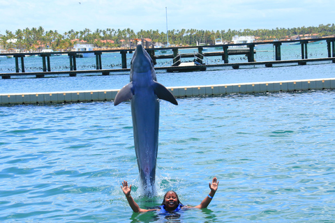 Avventura di nuoto con i delfini a Punta Cana: Esperienza con i delfini di 40 minuti