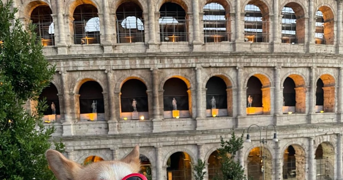 Mini Colloseum Rome mini group! Tour The Colosseum, Palatine Hill, Roman Forum | GetYourGuide