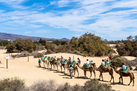 Agadir: Naturskön upplevelse med kamelridning nära floden Flamingo