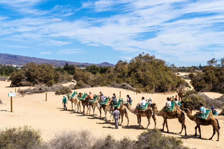 Agadir: Naturskön upplevelse med kamelridning nära floden Flamingo