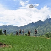 Sapa: Guided Motorbike Tour with Village Visit & Lunch