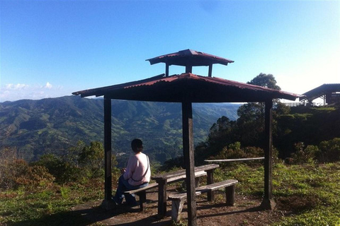 من ميديلين: جولة قهوة خيريكو لمدة يومين