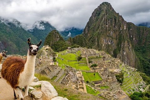 From Cusco: Cusco Machu Picchu Luxury Tour