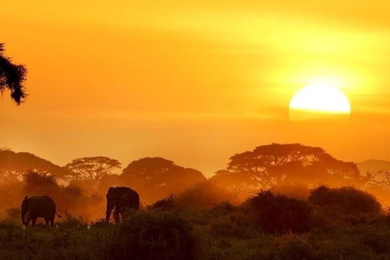 Nairobi: 2-Day Amboseli National Park Private Safari