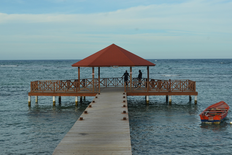普拉塔港：从泰诺湾/安伯湾出发的猴子之旅和城市之旅普拉塔港：塔伊诺湾/安伯湾的猴子之旅和城市之旅