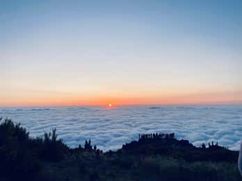 Funchal: Guided Sunrise Walk with Hotel Transfer
