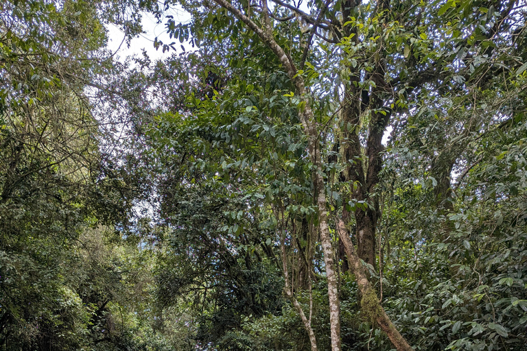 Nairobi: City Highlights Guided Tour