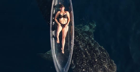 From Lombok: 2-Day Sumbawa Tour & Swim with Whale Sharks