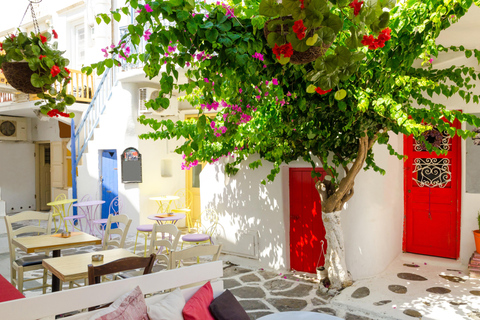 Mykonos Delight: A Perfect Day Trip from Your Cruise Ship