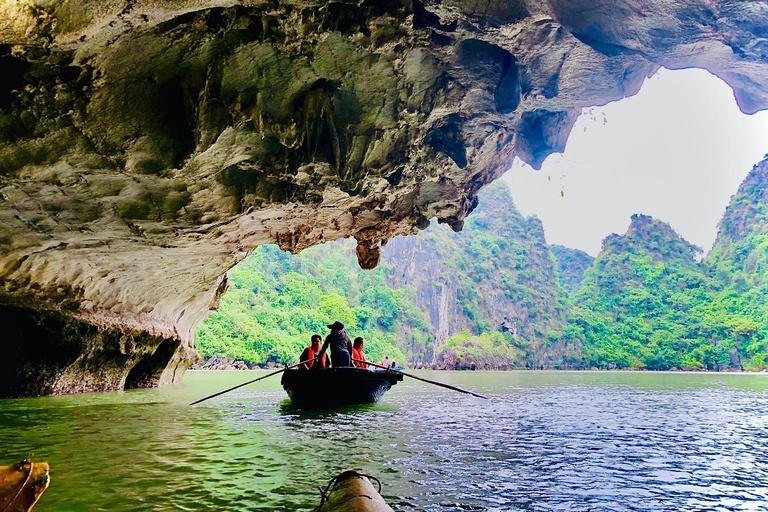 Depuis Hanoi : Croisière dans la baie d&#039;Halong avec déjeuner et transferts