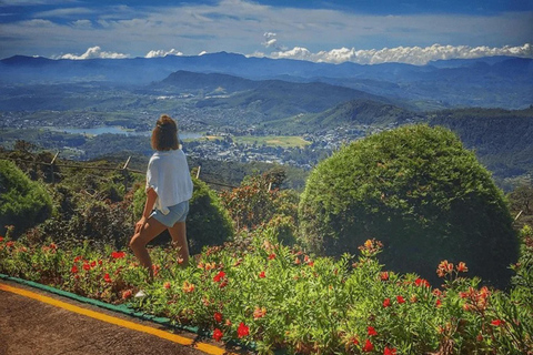 Kandy: Pidurutalagala Mountain Day Trip with Pickup