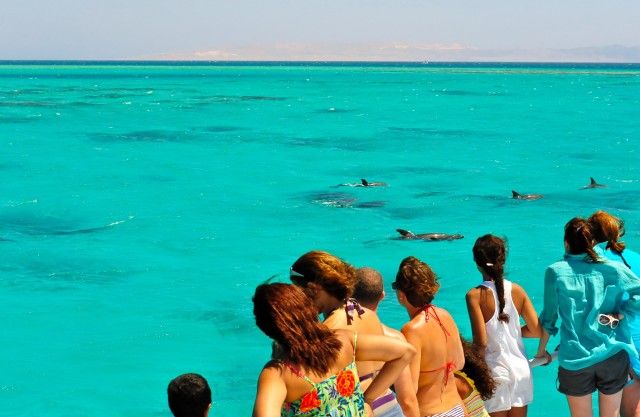 Visit Key West Dolphin & Snorkel Boat Tour with Sunset Option in Key West