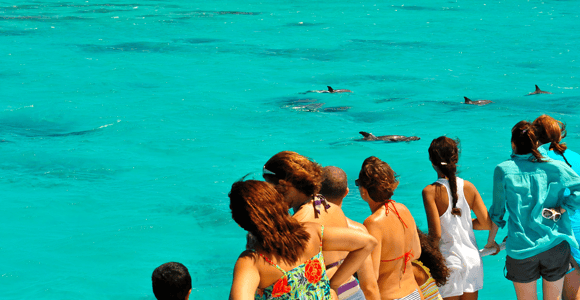 Key West: Dolphin & Reef Snorkel Trip with Sunset Option