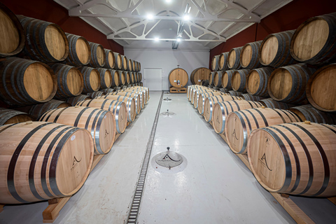 Secretos del Vino Dorado