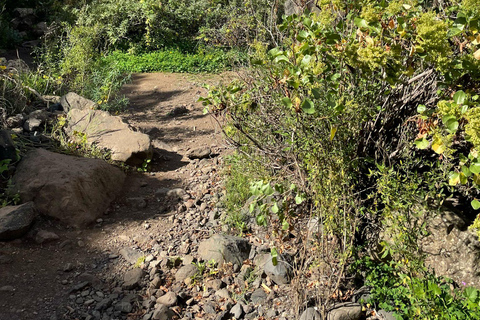 Gran Canaria: excursie naar de Barranco de los CernícalosGran Canaria: trip naar de Barranco de los Cernícalos