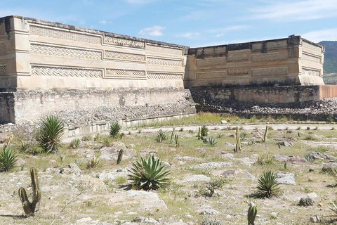 Z Oaxaca: Mistyczna podróż Mitli do serca Zapoteków