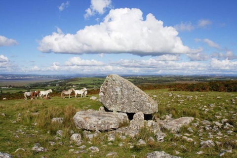 Au départ de Cardiff : Péninsule de Gower, les plus belles falaises du sud du Pays de Galles