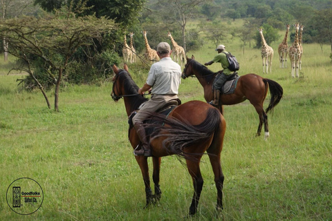 UGANDA Paardrijden - SCHITTERENDE LANDSCHAPPEN &amp; Avonturen | 8 Dagen