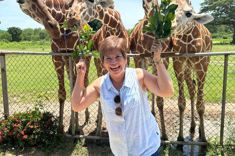 Coron; Calauit Safari Isola Nera Pranzo e trasferimento inclusi