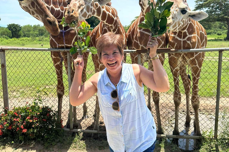 Coron; Calauit Safari Isola Nera Pranzo e trasferimento inclusi