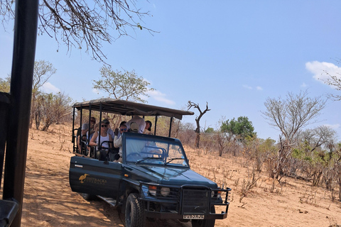 2 Day one night chobe safaris
