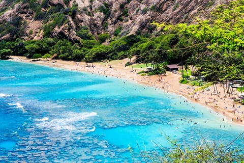 Oahu Circle Island Tour - Best Spots & Beaches