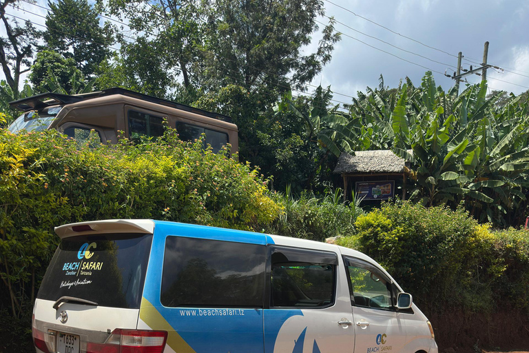 Moshi/Arusha: Chemka Hot Springs Materuni Waterfall Day tour 2 in 1 : Materuni & Chemka tour from Moshi