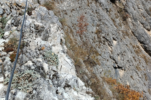 Brașov: Guided Gorge Hike, Caves, and Via Ferrata Adventure Brașov: Guided Hike and Caves