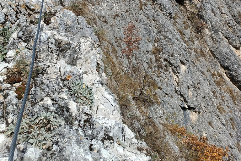 Brașov: Guided Gorge Hike, Caves, and Via Ferrata Adventure Brașov: Guided Hike and Caves