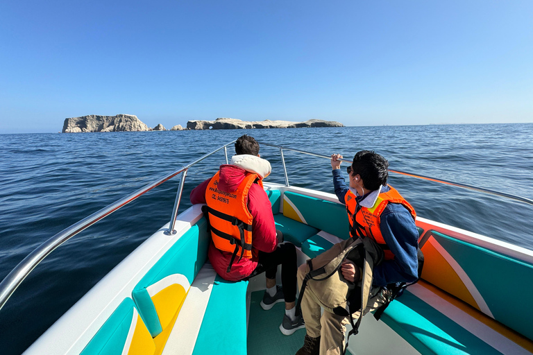 Paracas e Huacachina: Ilhas, Dune Buggy e Piquenique ao Pôr do SolParacas e Huacachina: Ilhas, Buggy nas Dunas e Piquenique ao Pôr do Sol