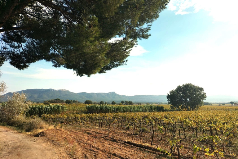 Viaggio a Aix-en Provence, Marsiglia e tour dei vini di campagna