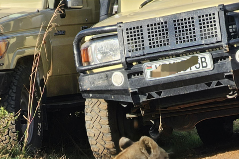 Nairobi: passeio de meio dia no Parque NacionalNairobi: tour privado de meio dia no Parque Nacional