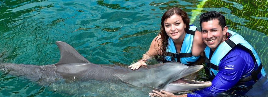 Puerto Aventuras : rencontre avec les dauphins et les lamantins avec déjeuner