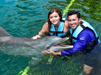 Puerto Aventuras: Encuentro con delfines y manatíes con almuerzo