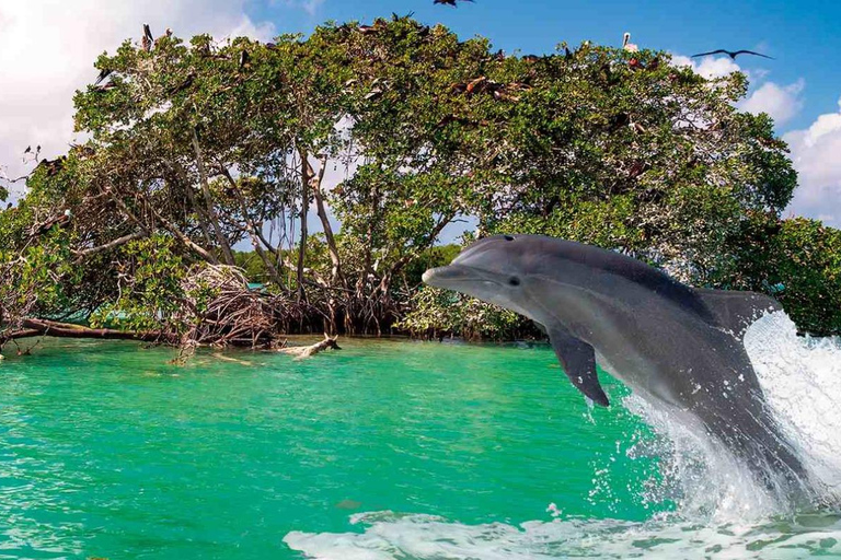 Sian Ka&#039;anTour vanuit Tulum