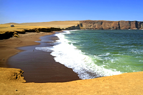 FD: Ica, Paracas - Ballestas Islands - Huacachina Excursion