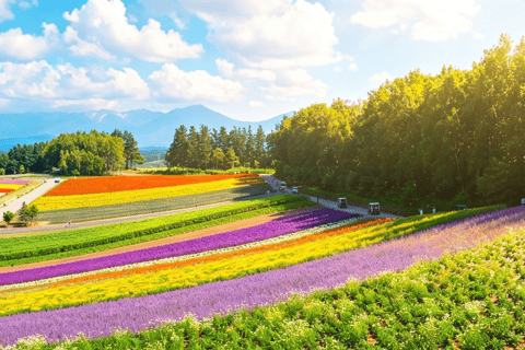 From Sapporo: Late Start Furano Day Trip with Blue Pond