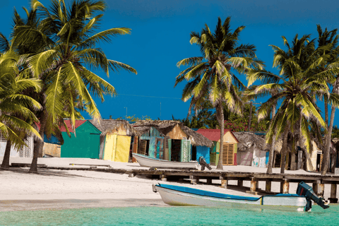 Punta Cana: Isla Saona Premium Mano Juan and exclusive beach