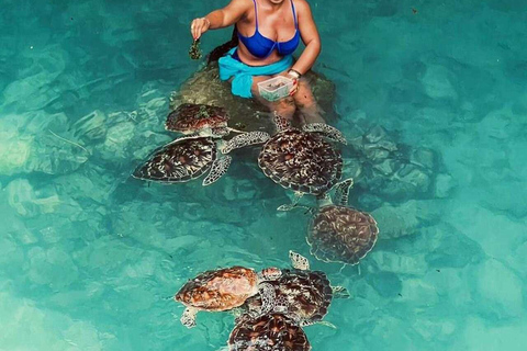 Kryddgårdsrundtur, Jozani-skogen, Salaam-grottan och Mtende-stranden